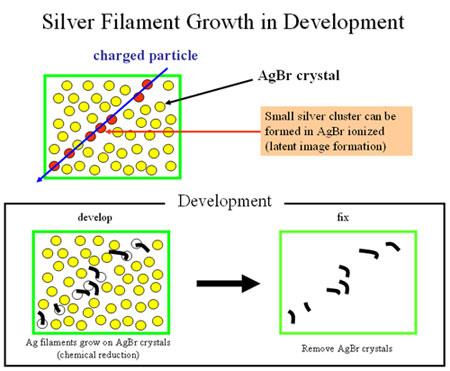 filament